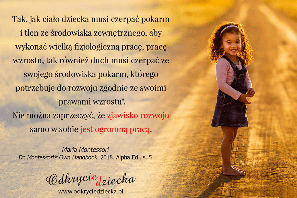 cytat Montessori